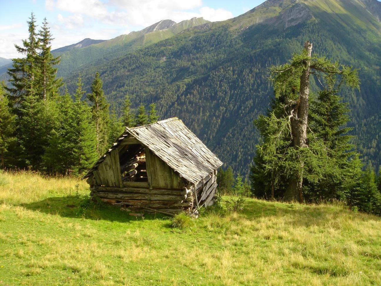 Gaestehaus Marianne Baier Zederhaus Exteriér fotografie
